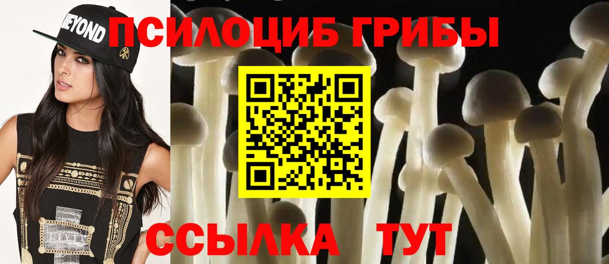 Можайск  Галлюциногенные грибы Psilocybine cubensis  Вход с VPN 